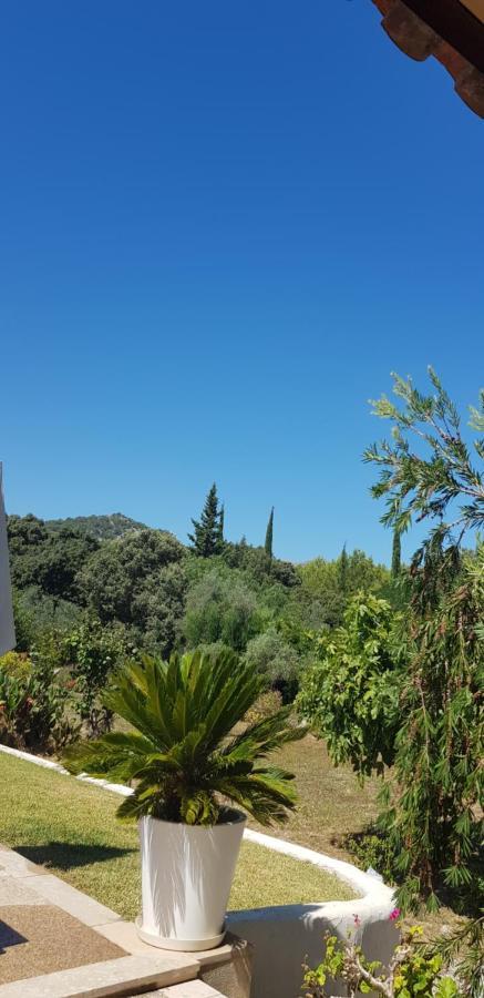 Villa Milagro - 3 Bedroom Finca Style Villa With Pool Near Golf Course/Beaches - Air Cond. Pollença Exterior foto